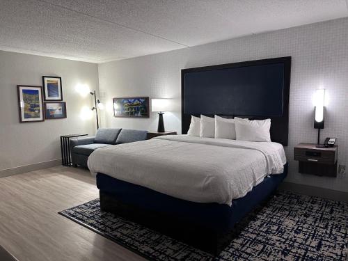 1 king bed, 1 sofa bed