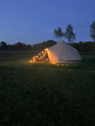 Surrounding environment, Boutique tent 'Pruum' op een unieke plek in het groen met luxe bed in Warnsveld