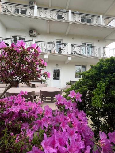 Guest house Junona