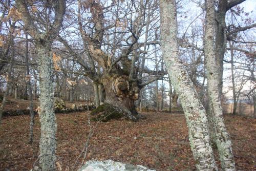  Casa Rural Los Castaños I in Valdespino