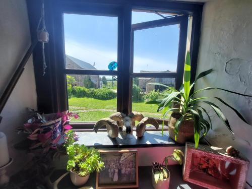 Ümbrus, Rural Historic Farmhouse - A Peaceful Escape in West Down