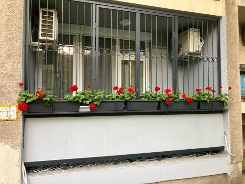 Központi Apartman 2 (Kozponti Apartman 2) in Kiskunfelegyhaza