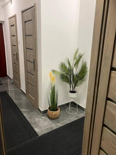 Központi Apartman 2 (Kozponti Apartman 2) in Kiskunfelegyhaza