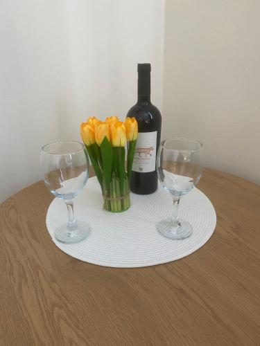 Apartament Mączyńskiego 4