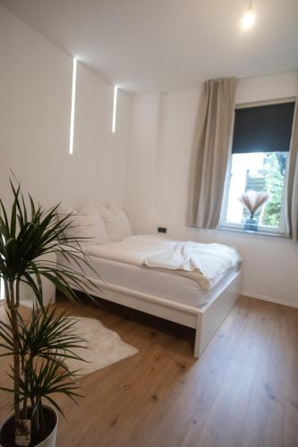 Apartment "Pur & Stylisch" in 伊瑟隆