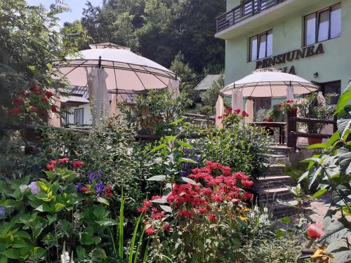 Pensiunea Ana