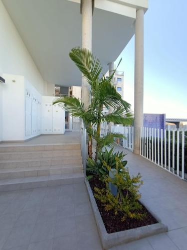 花園, Marina3 - Playa de Daimús - Ganador Traveller Awards 2026 (Marina3 - Playa de Daimus - Ganador Traveller Awards 2026) in 達伊穆茲