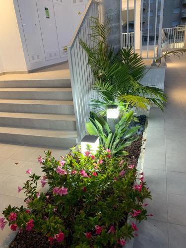 花園, Marina3 - Playa de Daimús - Ganador Traveller Awards 2026 (Marina3 - Playa de Daimus - Ganador Traveller Awards 2026) in 達伊穆茲