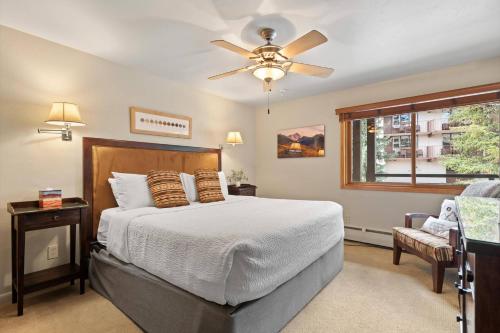 Shadowbrook 202-203, Snowmass Village (zdjęcie 5)