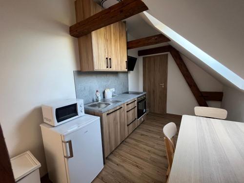 Kitchen, Apartmany Statek Bezdedice in Plzen