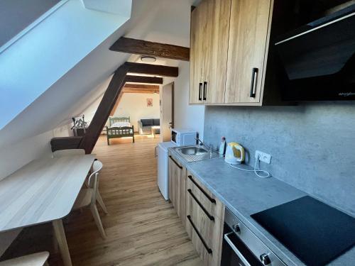 Kitchen, Apartmany Statek Bezdedice in Plzen