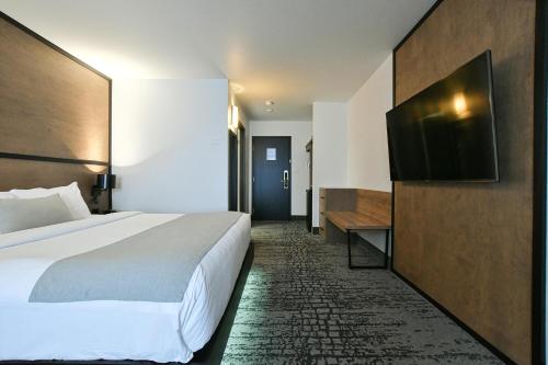 Comfo King Lounge room courtyard side