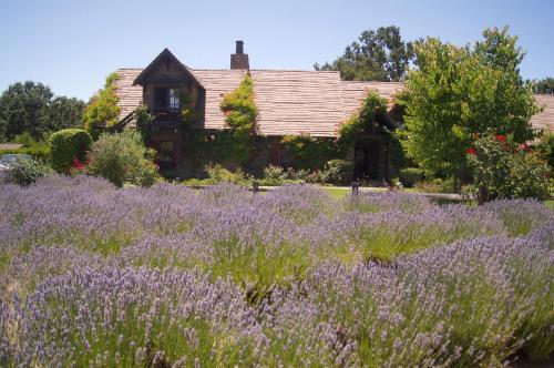 Viesnīcas āriene, ONX Wines - Briarwood Cottage & Apartment in Templtona (CA)