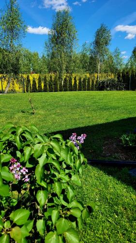 Kert, Domek nad Nieliszem in Nielisz