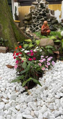 Pousada Boiçucanga (Pousada Boicucanga) in Sao Sebastiao (Sao Paulo)