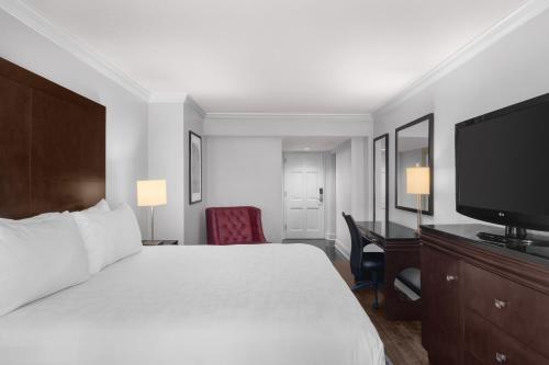 King Room image 5