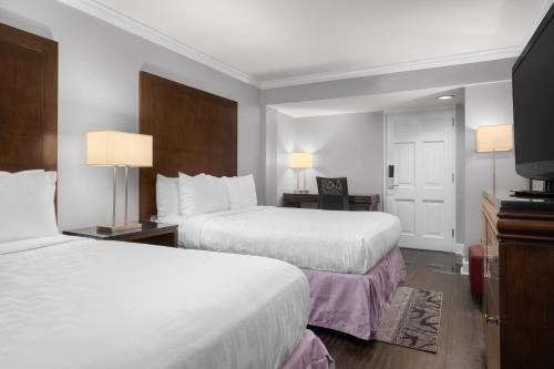 Deluxe Quadruple Room image 3