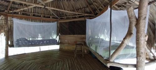 Eco-Camping Mango Feliz Rincon del Mar in San Onofre