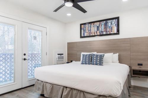 1 queen bed, 1 sofa bed