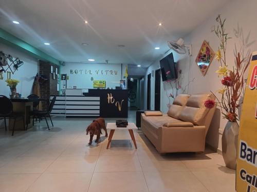 HOTEL VITRU in Cucuta