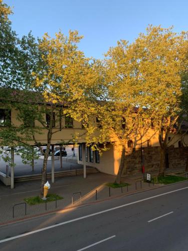 OneFlats Stuttgart near Wasen, Mahle, Daimler, Bosch, Stoccarda (foto 9)