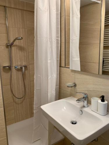 OneFlats Stuttgart near Wasen, Mahle, Daimler, Bosch, Stoccarda (foto 5)