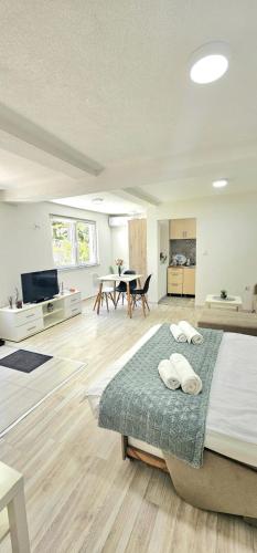 Modern Studio in Heart of Old Town