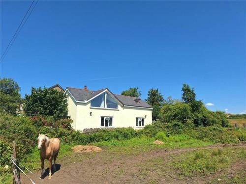 Black Mountain Bungalow - Nearby Lake gîte à louer Brynamman