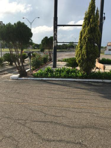 Alice Motor Inn – Alice, TX