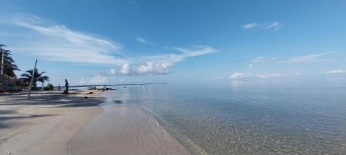 Eco-Camping Mango Feliz Rincon del Mar in San Onofre