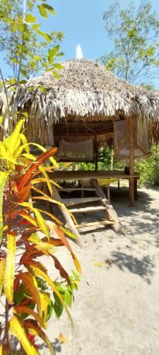 Eco-Camping Mango Feliz Rincon del Mar in San Onofre