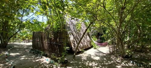 Eco-Camping Mango Feliz Rincon del Mar in San Onofre