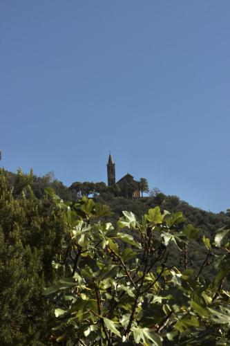 Közeli látványosságok, HOST4U - Cozy Terraced House with Beautiful View on the Olives Valley in Montegrazie