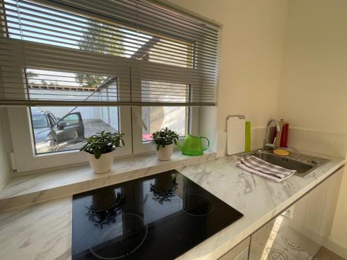 geräumige Wohnung mit Terrasse (geraumige Wohnung mit Terrasse) in Halle (Westf.)