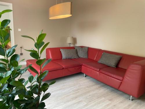 geräumige Wohnung mit Terrasse (geraumige Wohnung mit Terrasse) in Halle (Westf.)