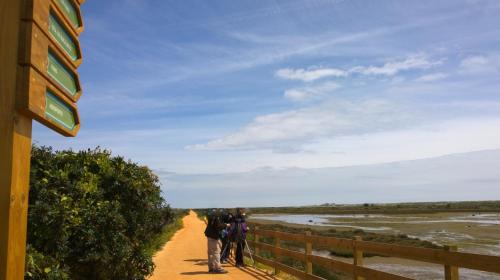 Sports and activities, Blue&Greens Apartment in Almancil