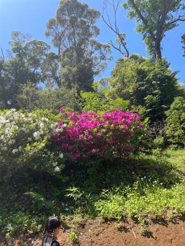 新緑の南伊豆焚き火の宿ノキロ