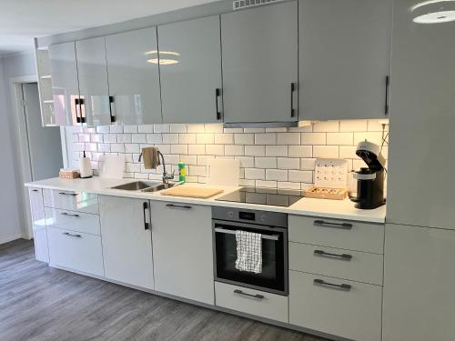 3BR Penthouse in city center with free parking, Oslo (photo 3)
