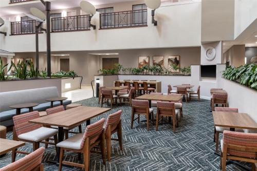 Embassy Suites Fort Myers - Estero - image 12