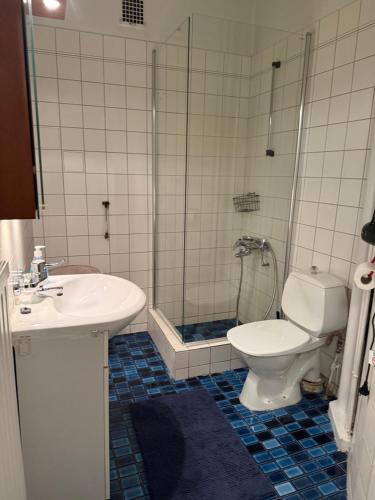 Bathroom, Cozy studio in Punavuori near Löyly