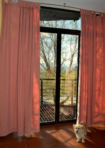 Albergue Aurora Boreal - image 10