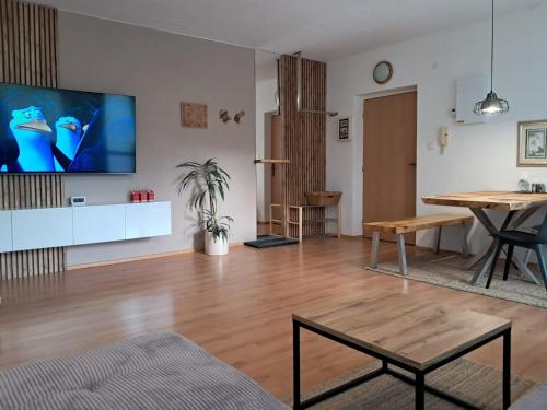 共用Lounge/電視區, Apartment SKI-BIKE-HIKE 2, Vyšné Ružbachy (Apartment SKI-BIKE-HIKE 2, Vysne Ruzbachy) in 上魯日巴希