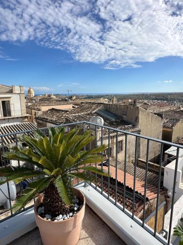 Noto caprifoglio new house with two terraces