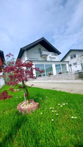 Villa Moderna Belisce in Belisce