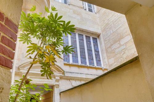 Spacious, quiet flat in the heart of Bordeaux, Bordeaux (Foto 5)