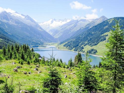 Apartment Alpenblick by Interhome in Zell am Ziller