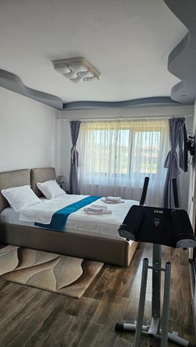 Vila Simona in Argeşani