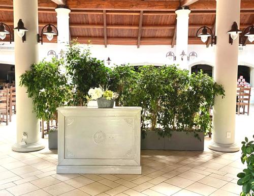 Étterem, Horse Country Resort Congress & Spa - Hotel Ribot in Arborea