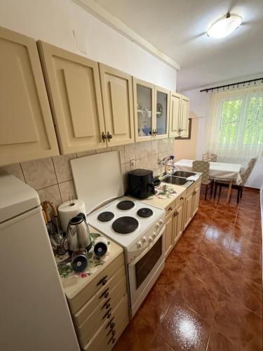 Apartman Marković (Apartman Markovic) in Meljine