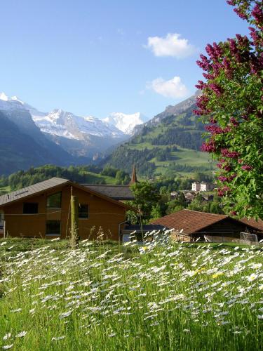 Cottage, Frutigen (photo 8)